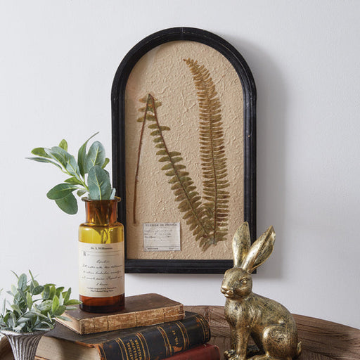 Pressed Botanical Wall Decor - Boston Fern