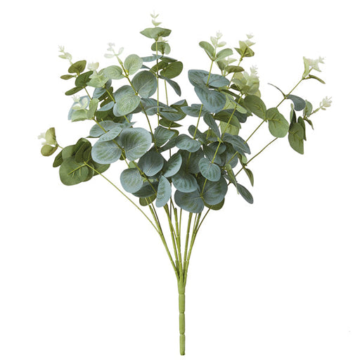 Eucalyptus Bush - Box of 2