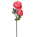 Pink Peony Stem - Box of 4