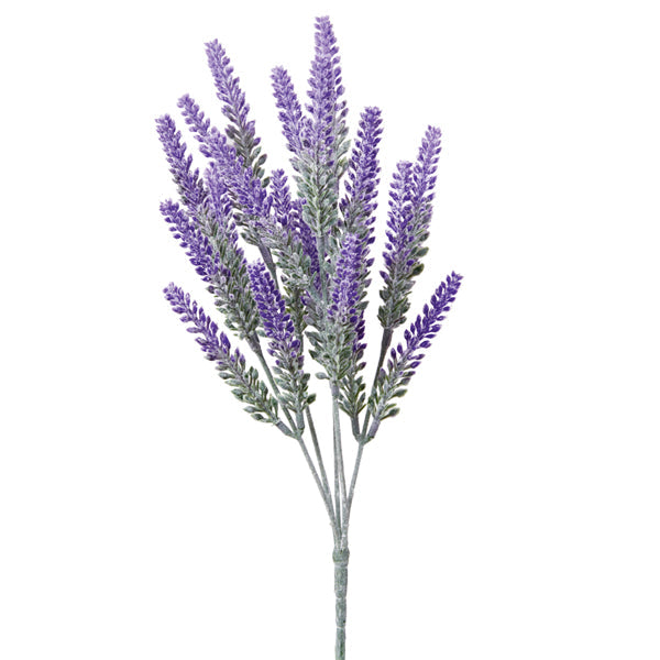 Lavender Bush - Box of 2