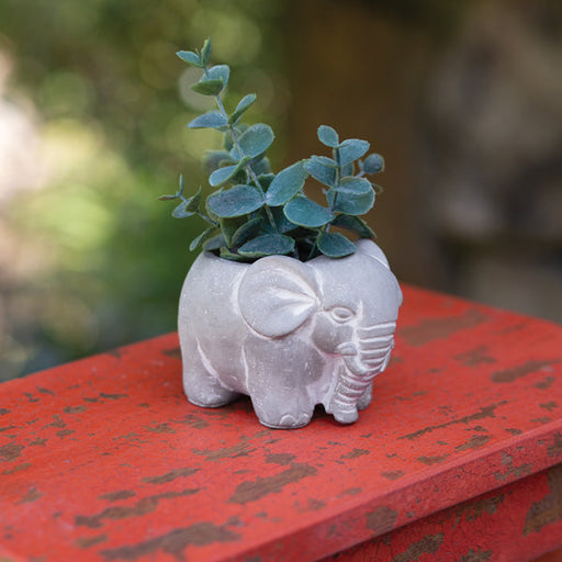 Small Cement Elephant Pot - Box of 2