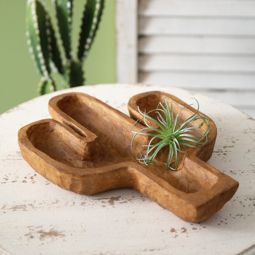 Cactus Dough Bowl