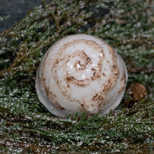 Amish Cinnabun Bath Bomb